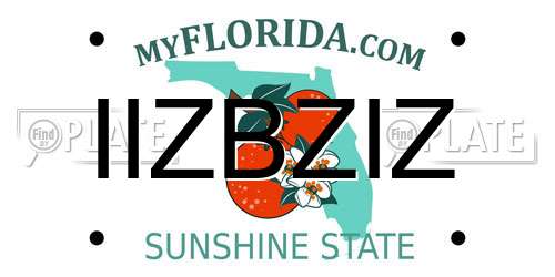 IIZBZIZ Florida License Plate