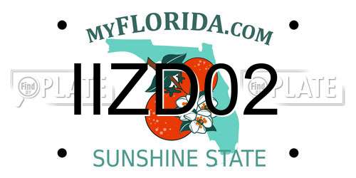 IIZD02 Florida License Plate