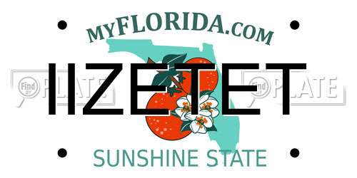 IIZETET Florida License Plate