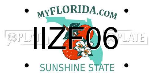 IIZF06 Florida License Plate