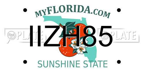 IIZH85 Florida License Plate