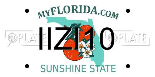 IIZI10 Florida License Plate