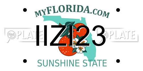 IIZI23 Florida License Plate