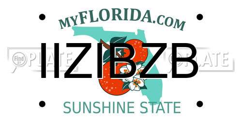 IIZIBZB Florida License Plate