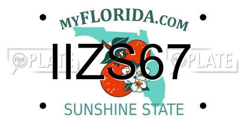 IIZS67 Florida License Plate