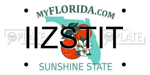 IIZSTIT Florida License Plate
