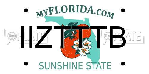IIZTTTB Florida License Plate