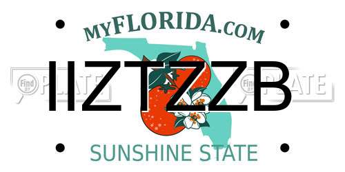 IIZTZZB Florida License Plate