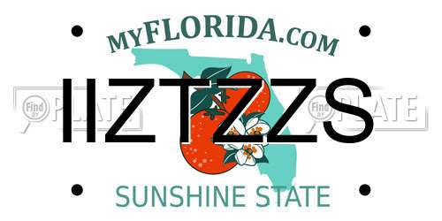 IIZTZZS Florida License Plate