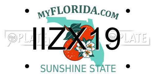 IIZX19 Florida License Plate