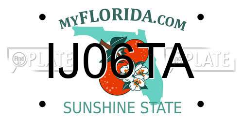 IJ06TA Florida License Plate