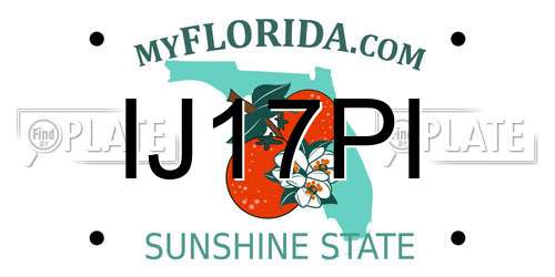 IJ17PI Florida License Plate