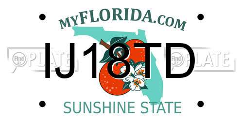 IJ18TD Florida License Plate