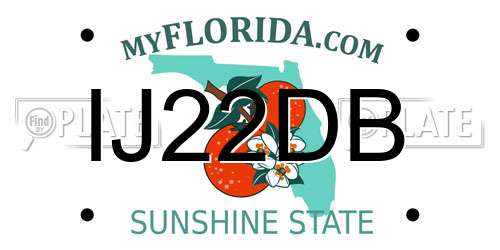 IJ22DB Florida License Plate
