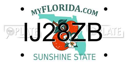 IJ28ZB Florida License Plate