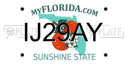 IJ29AY Florida License Plate