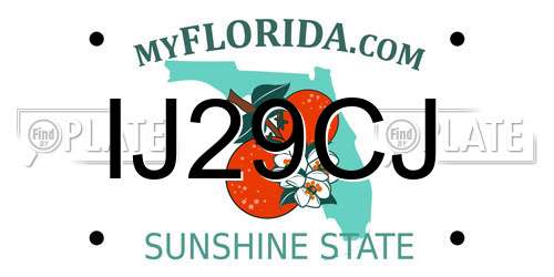 IJ29CJ Florida License Plate