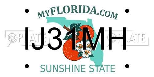 IJ31MH Florida License Plate
