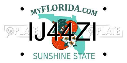 IJ44ZI Florida License Plate