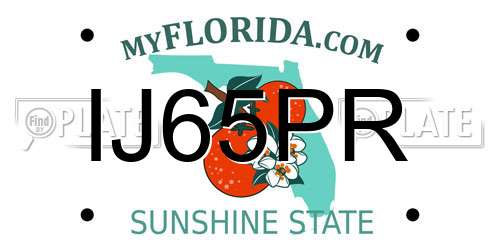 IJ65PR Florida License Plate
