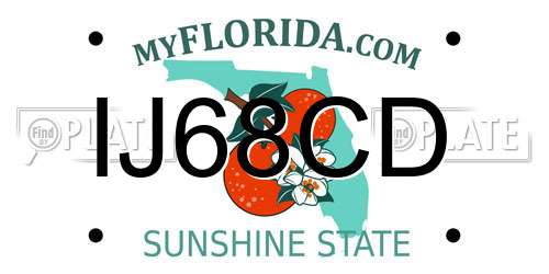 IJ68CD Florida License Plate