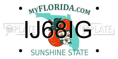 IJ68IG Florida License Plate