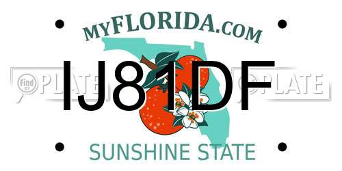 IJ81DF Florida License Plate