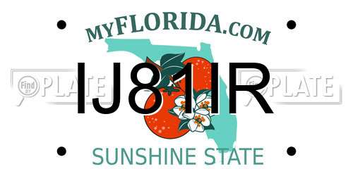 IJ81IR Florida License Plate