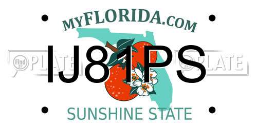 IJ81PS Florida License Plate
