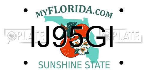 IJ95GI Florida License Plate