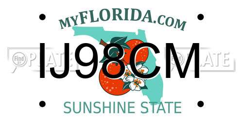 IJ98CM Florida License Plate
