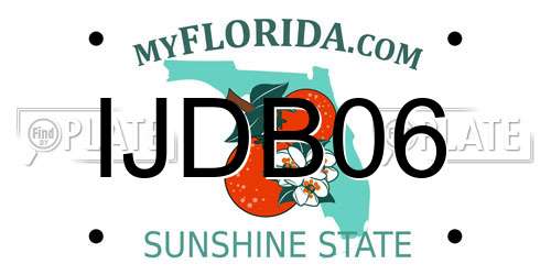 IJDB06 Florida License Plate