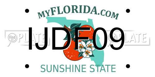 IJDF09 Florida License Plate