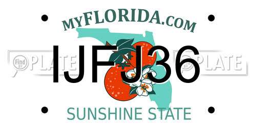 IJFJ36 Florida License Plate