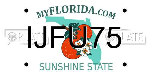 IJFU75 Florida License Plate
