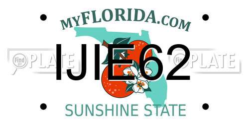 IJIE62 Florida License Plate