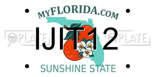 IJIT12 Florida License Plate