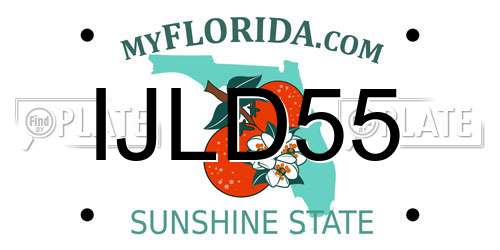IJLD55 Florida License Plate