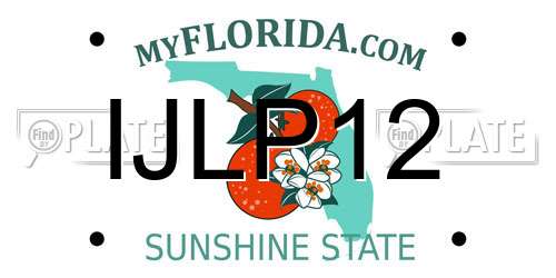 IJLP12 Florida License Plate