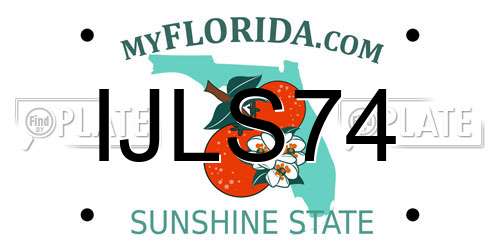 IJLS74 Florida License Plate