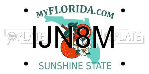 IJN8M Florida License Plate