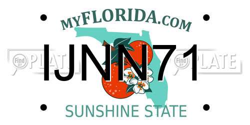 IJNN71 Florida License Plate