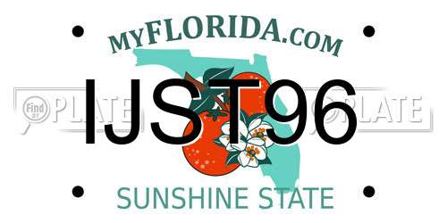 IJST96 Florida License Plate