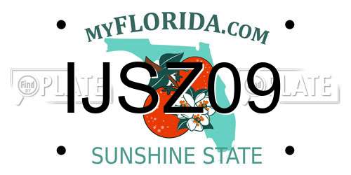 IJSZ09 Florida License Plate