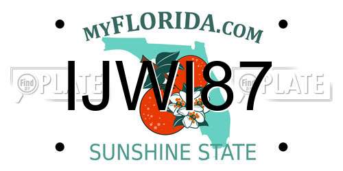 IJWI87 Florida License Plate