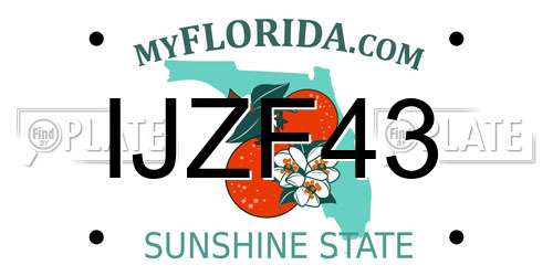 IJZF43 Florida License Plate