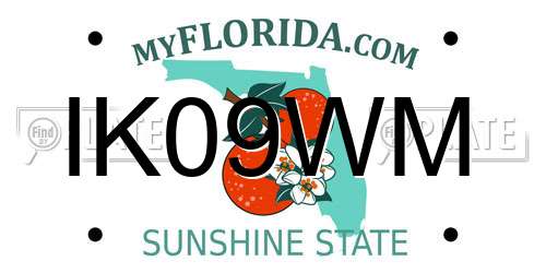 IK09WM Florida License Plate