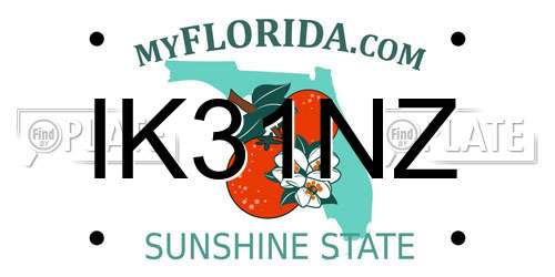 IK31NZ Florida License Plate