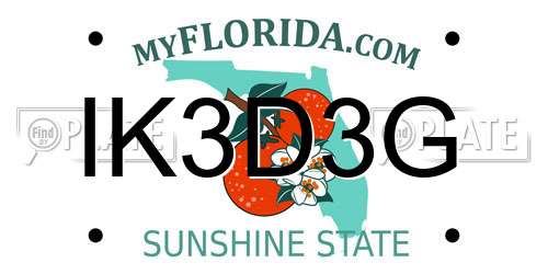 IK3D3G Florida License Plate