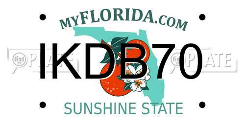 IKDB70 Florida License Plate